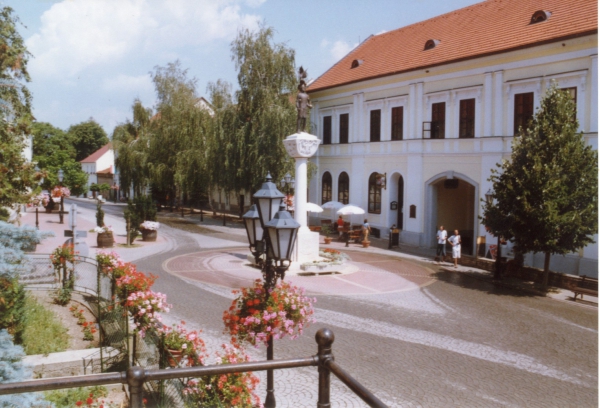 Vir&aacute;gz&oacute; Tokaj